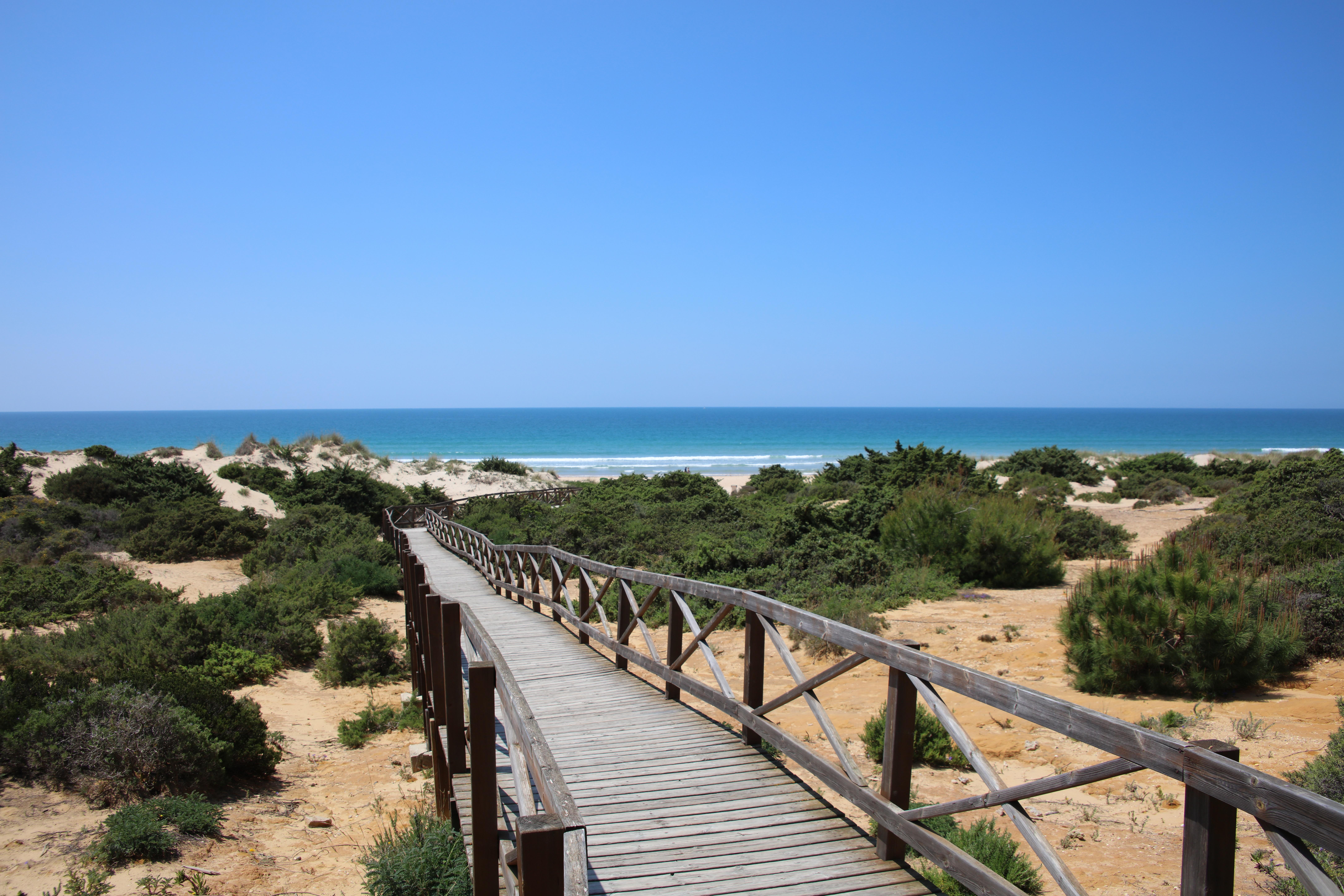 Iberostar Selection Andalucia Playa Hotel Chiclana de la Frontera Luaran gambar The dunes of the beach of Sabinillas